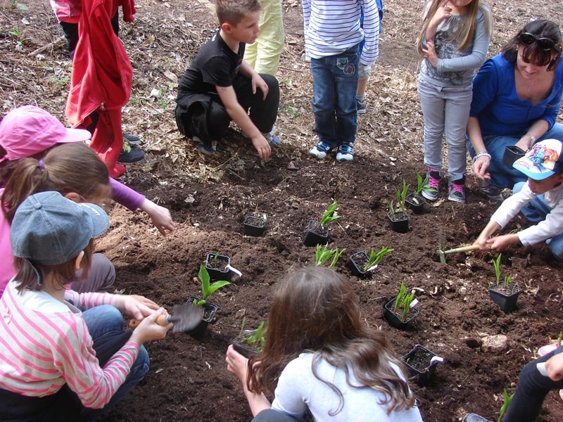 Actions Pédagogiques Actions Pédagogiques