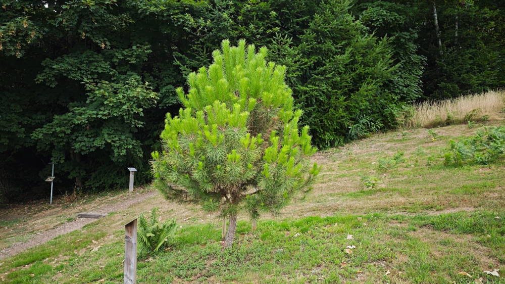 Diaporama Sentier Diaporama Sentier