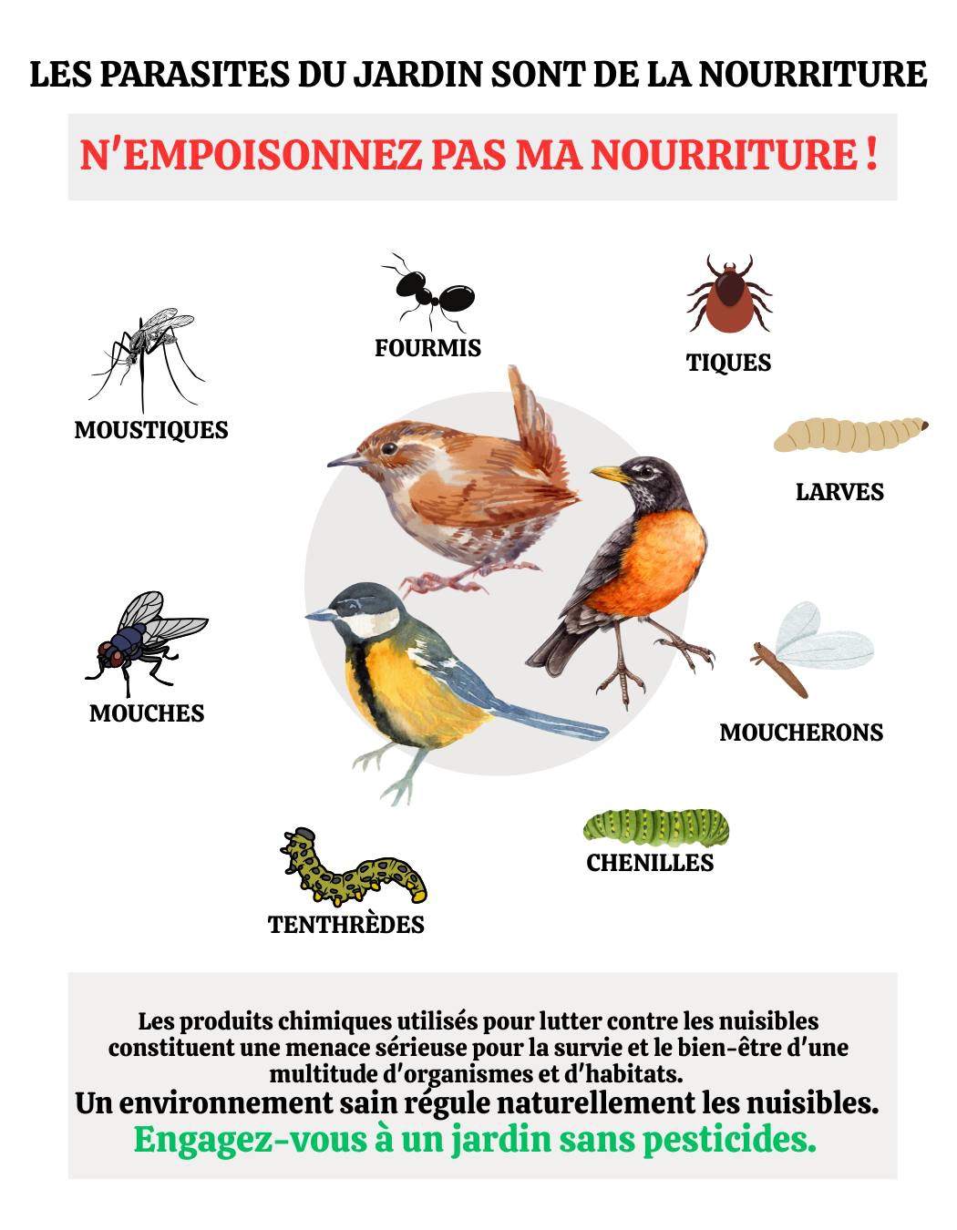 Nourriture pour oiseaux