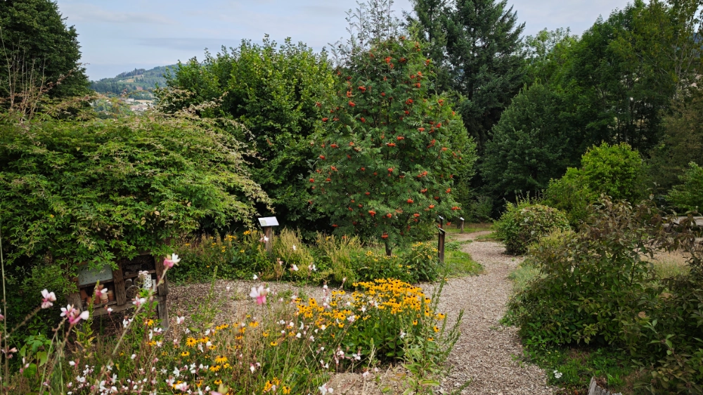 Diaporama Sentier Diaporama Sentier