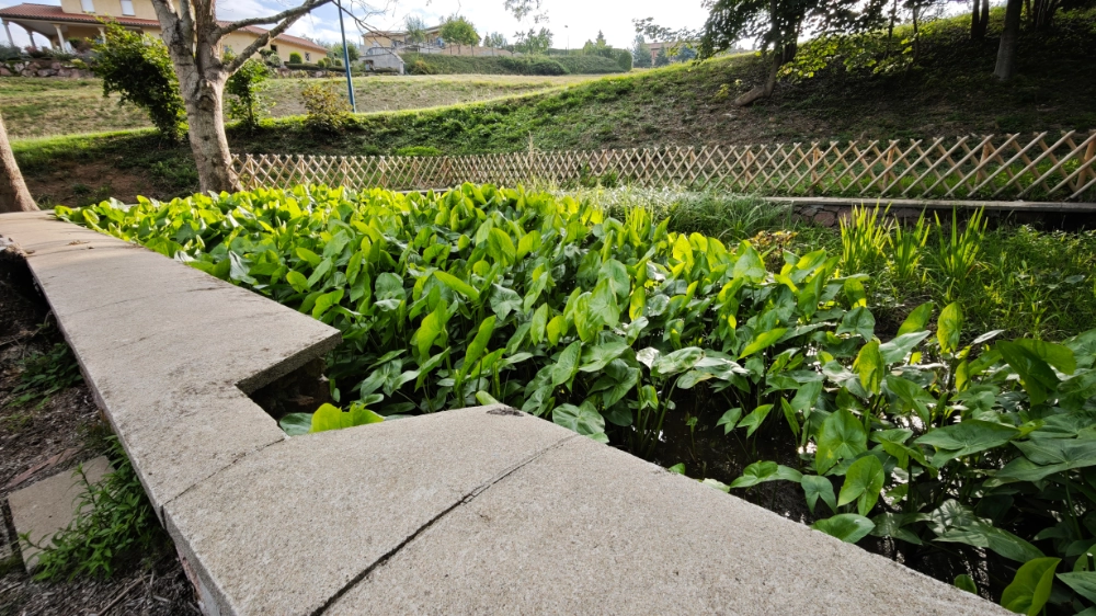 Diaporama Sentier Diaporama Sentier