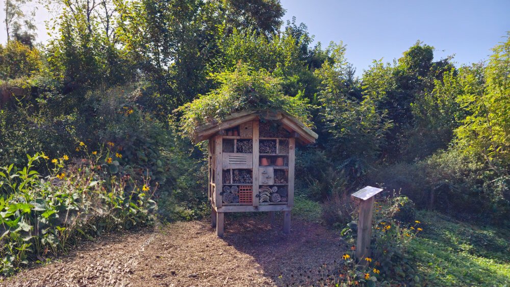 Hôtel à insectes Hôtel à insectes