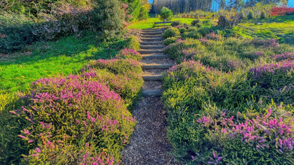 Montée vers la Chapelle et le Mont Florentin Montée vers la Chapelle et le Mont Florentin