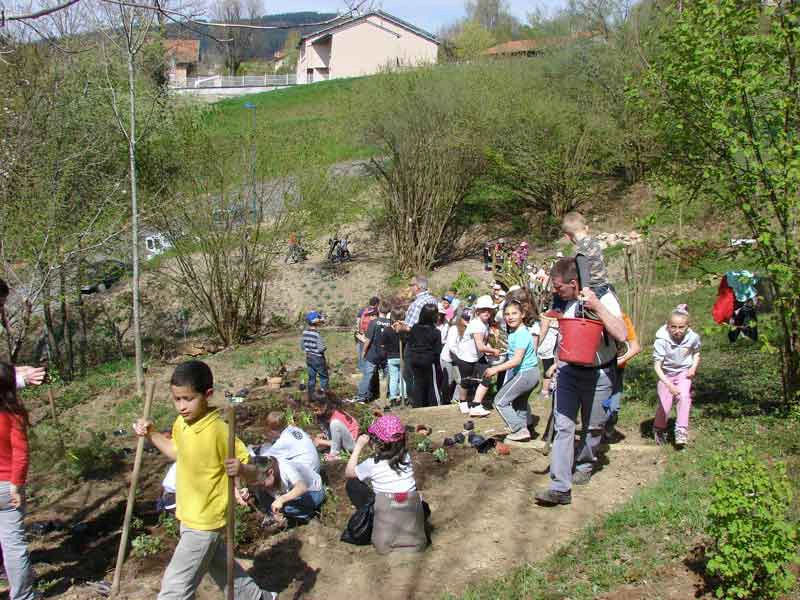 Action Pédagogique Action Pédagogique