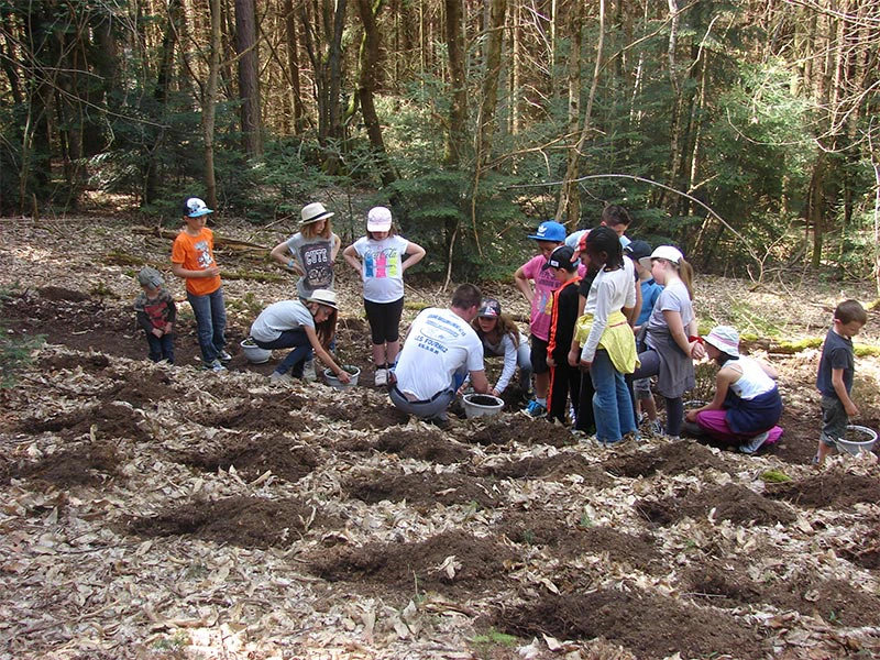 Action Pédagogique Action Pédagogique