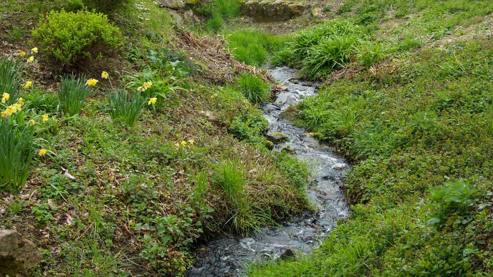 Le Ruisseau du Sentier Le Ruisseau du Sentier