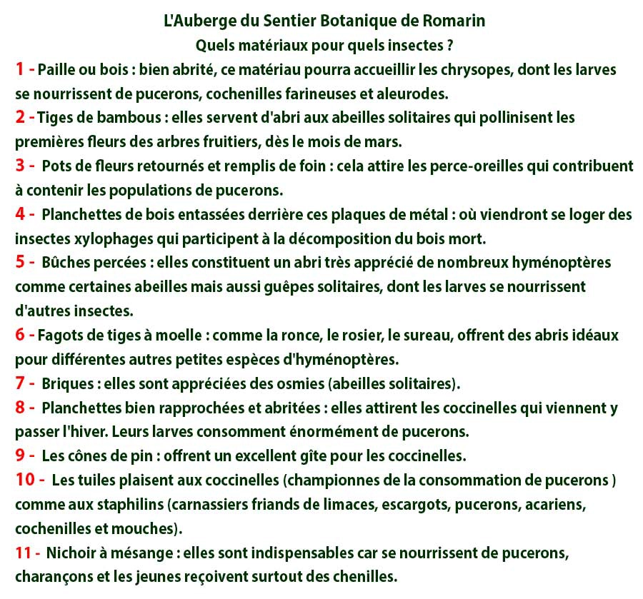Hôtel à Insectes Hôtel à Insectes