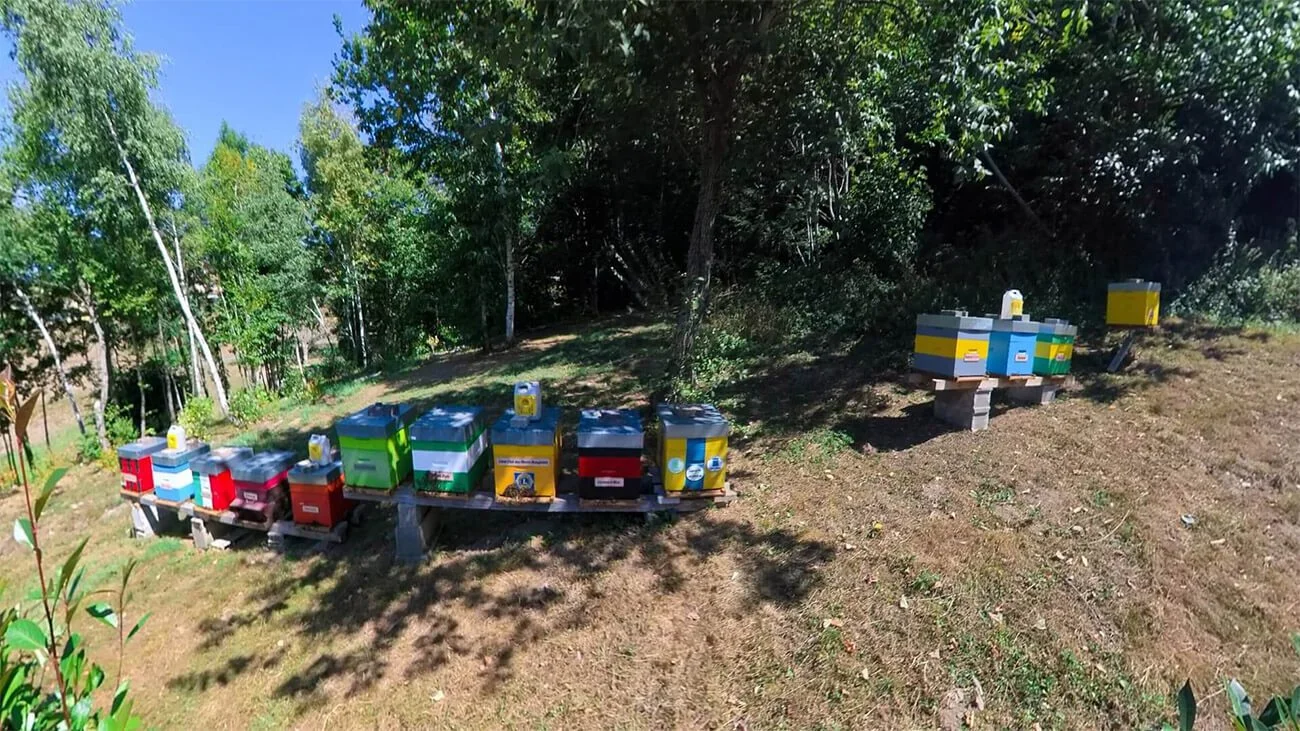 Les Ruches Les Ruches